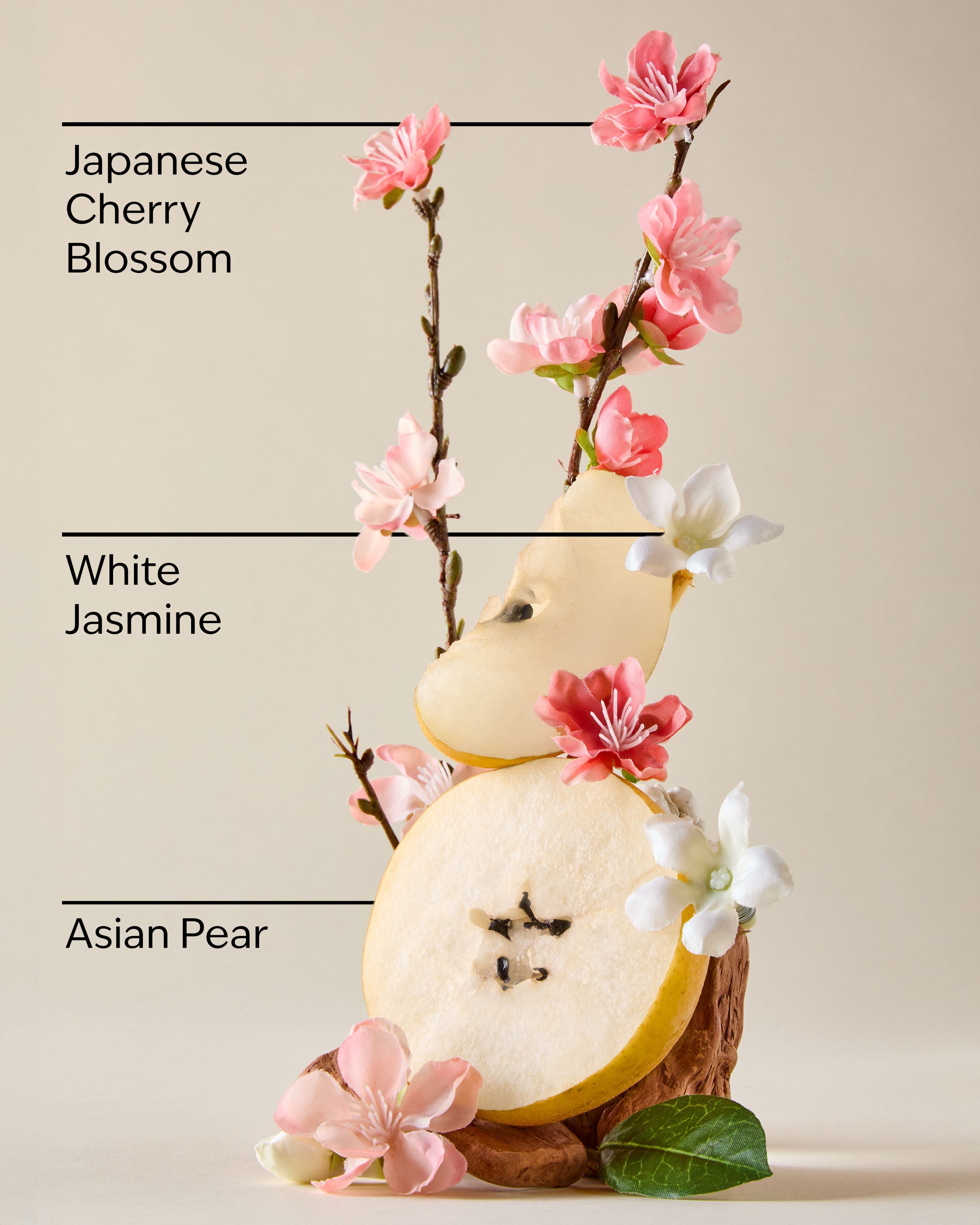 کرم بدن Japanese Cherry Blossom